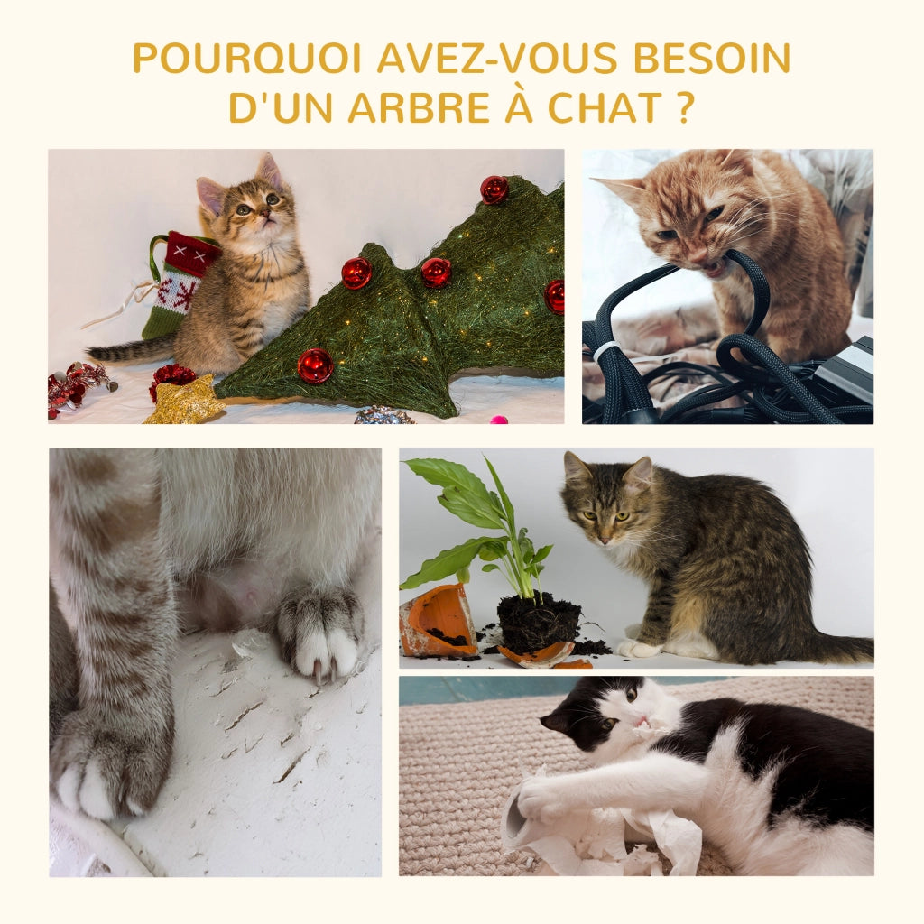 Arbre ¨¤ chat con griffoir e piattaforma ¨C zephmum ¨C naturale beige