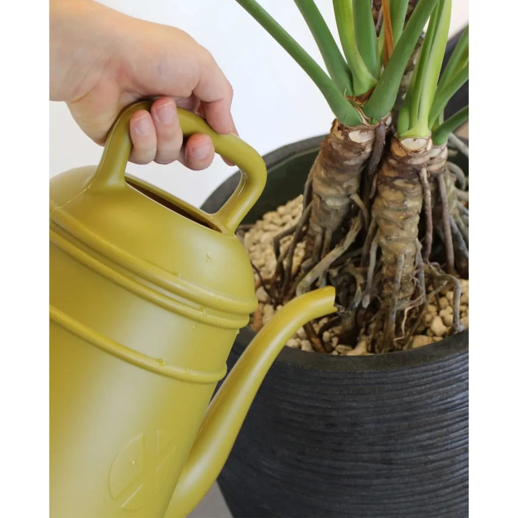 Capi Annaffiatoio Xala Lungo 12 L Giallo Curry 442121