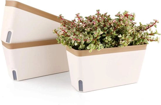 Set di 3 Vasi di Plastica Orizzontali da 27cm con Sistema di Irrigazione per Interno e Esterno - Decorazione per Casa o Ufficio