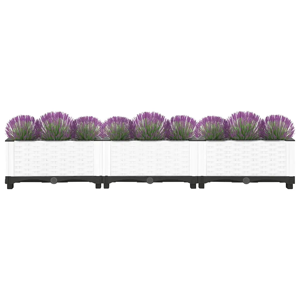 Fioriera | Cassetta per fiori | Vaso Rialzata 120x40x23 cm in Polipropilene