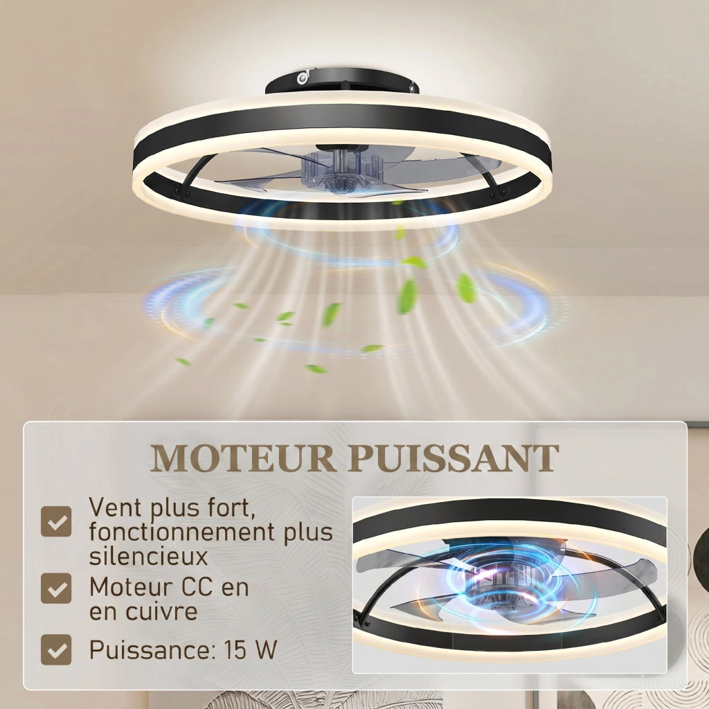 Ventilatore a Soffitto con Luce e Telecomando ¨C Zephmum ¨C Nero 50 cm