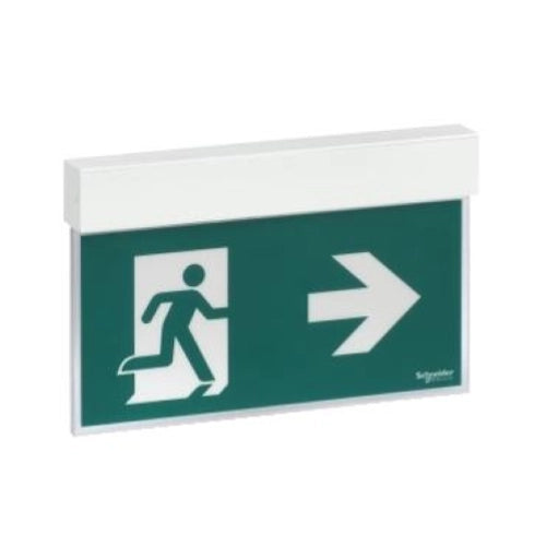 EXIWAY EASYSIGN, IP40, AUTOALIMENTATO STANDARD, PERMANENTE (SA) / NON PERMANENTE (SE), 24M, 1,5H, APPARECCHIO DI SEGNALAZIONE DI SICUREZZA