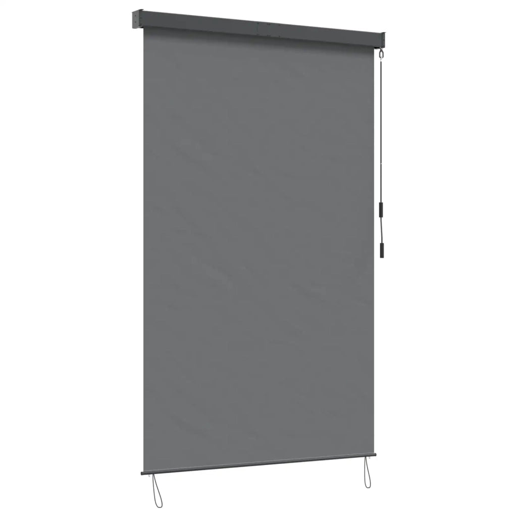 Tenda a rullo Grigio Chiaro 80 x 250 cm Tessuto e Alluminio 42037174