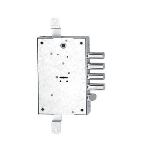 ISEO 608 D SERRATURA DM MOTTURA E 60 136X206- FIAM- 1,0 pz
