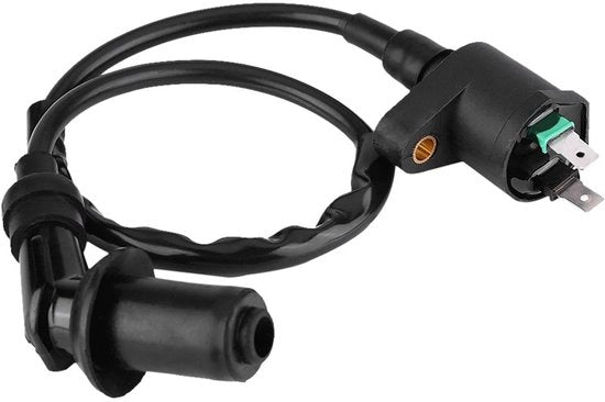 Bobina di Accensione per Motocicletta - Alta Intensità Scintilla - Adatto per GY6 - Resistente alla Corrosione - Materiale Duraturo - Lunghezza Totale 450 mm - Bobina di Accensione