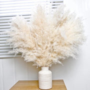 Pampas di grano - Fiori decorativi - Set da 10 - Naturale