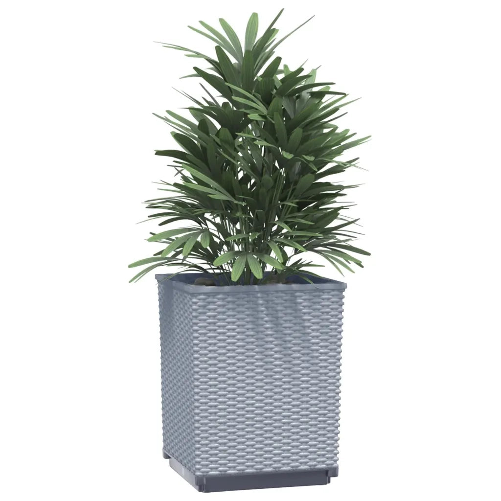 2 pz Fioriere | Cassetta per fiori | Vaso Grigio Chiaro 30x30x37 cm in Polipropilene