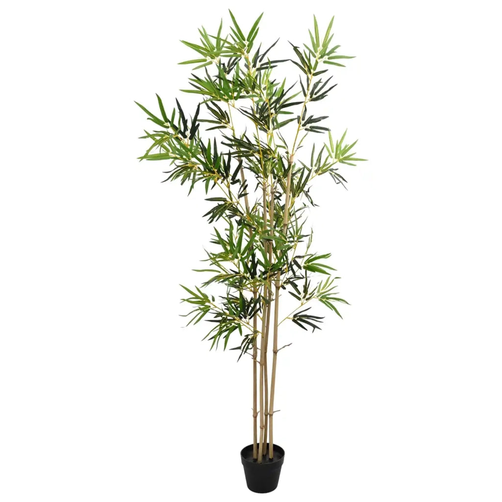 Albero di Bamb¨´ Verde 75,5 x 18 x 175 cm Tessuto e Bamb¨´ CFW8617917