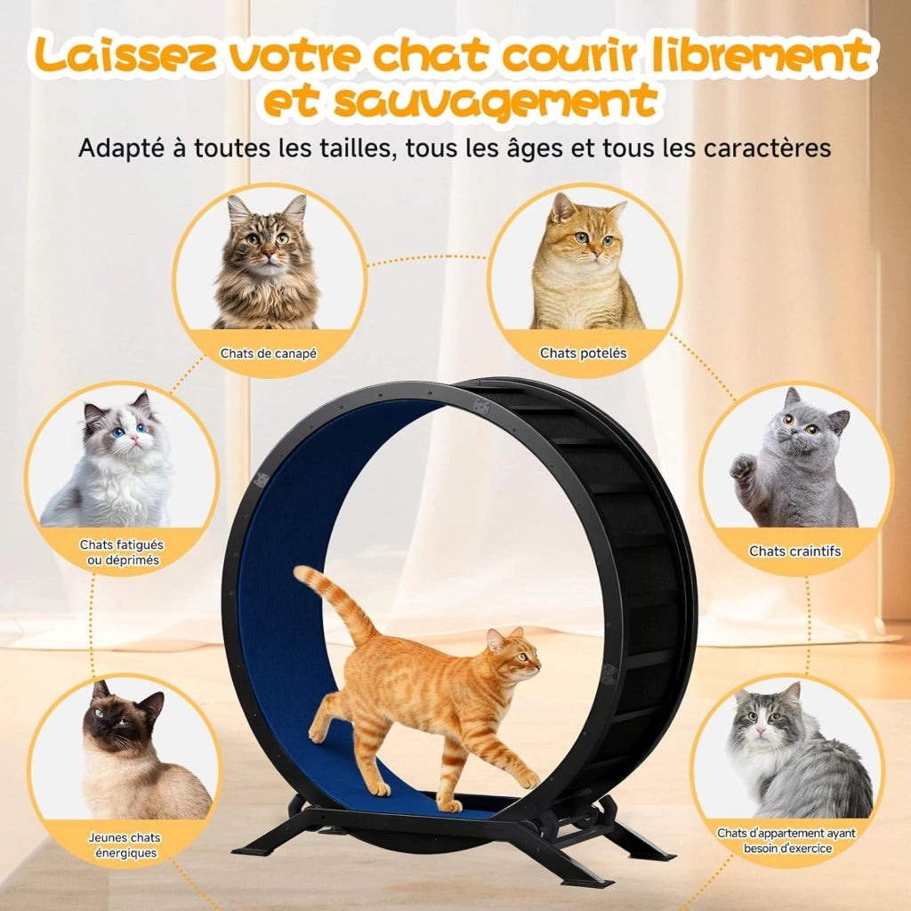Ruota per gatti, ruota per esercizi per gatti, XL- 100 cm, ultra silenziosa con tappetino rimovibile, adesivi, sistema di bloccaggio, metallo, blu, regali per il vostro gatto