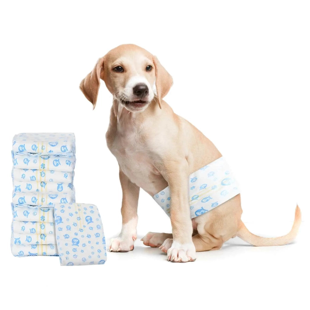 Pannolino usa e getta per cani maschi 30 pz Bianco L CFW7308078