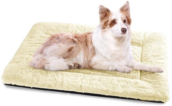 Letto per Cane Grande, Cuscino per Cane Lavabile - 106x71 cm Letto per Gatto Supercomodo con Fondoscala Antiscivolo - Beige