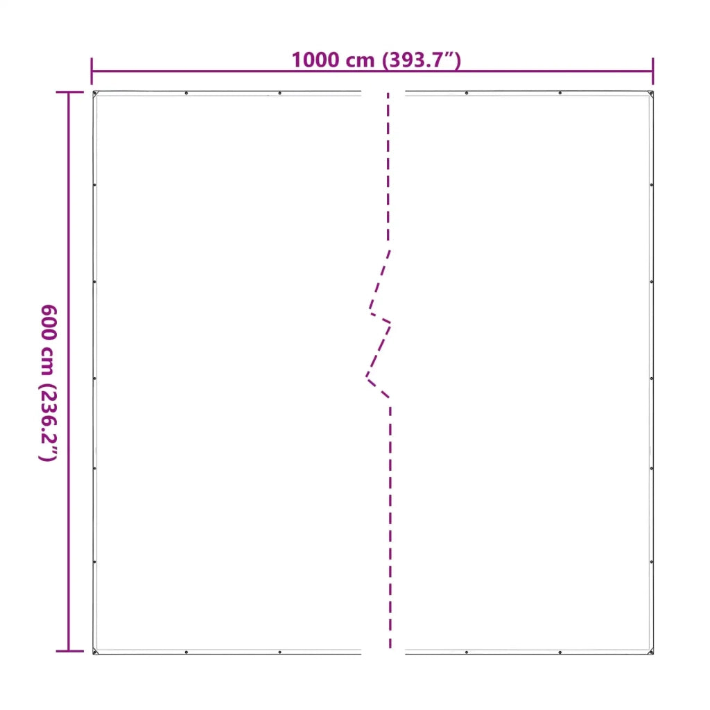Copertura per Piante Trasparente 6 x 10 m PE CFW8534774