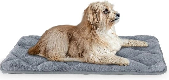 Coperta per cani, cuscino per cani, lavabile, antiscivolo, tappeto per cani, letto per cani per cani piccoli, medi e grandi, coperta, materassino, cuscino per gatti, grigio, 61 x 45 cm