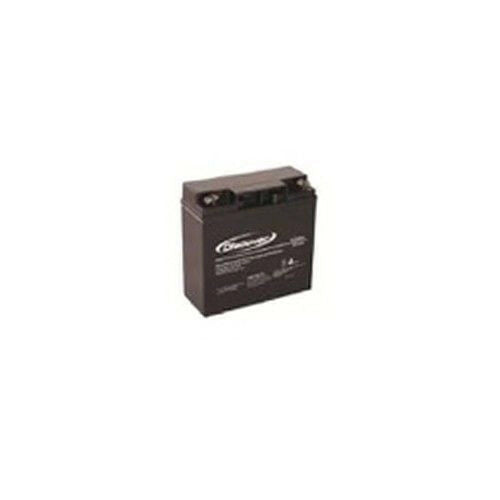 BATTERIA DFM NAI24-12 ACCESSORI ANTIFURTO AUTOMAZIONE AUTOMATISMI ORIGINALE