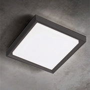 Alu Lampada da Parete e Soffitto in Alluminio Pressofuso Grigio Scuro 30W LED 3000K IP54, Design Moderno e Versatile per Ambienti Interni ed Esterni