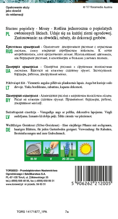 Gelate (Sambuco Frassino) - Cineraria maritima cenere 0,5 g