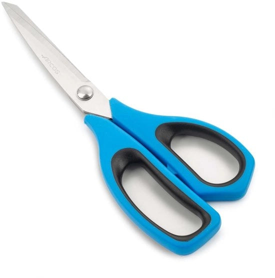Serra in acciaio inossidabile per cucina - Ideale per tagliare, preparare e affettare carne - Manico in polipropilene, lama da 240 mm - Blu, serie Prochef