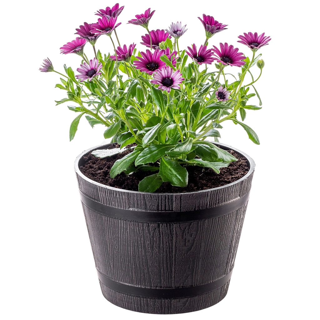 Vaso da fiori KADAX per giardino, vaso per fiori da terrazzo, copertura per fiori, vaso rotondo 23 cm