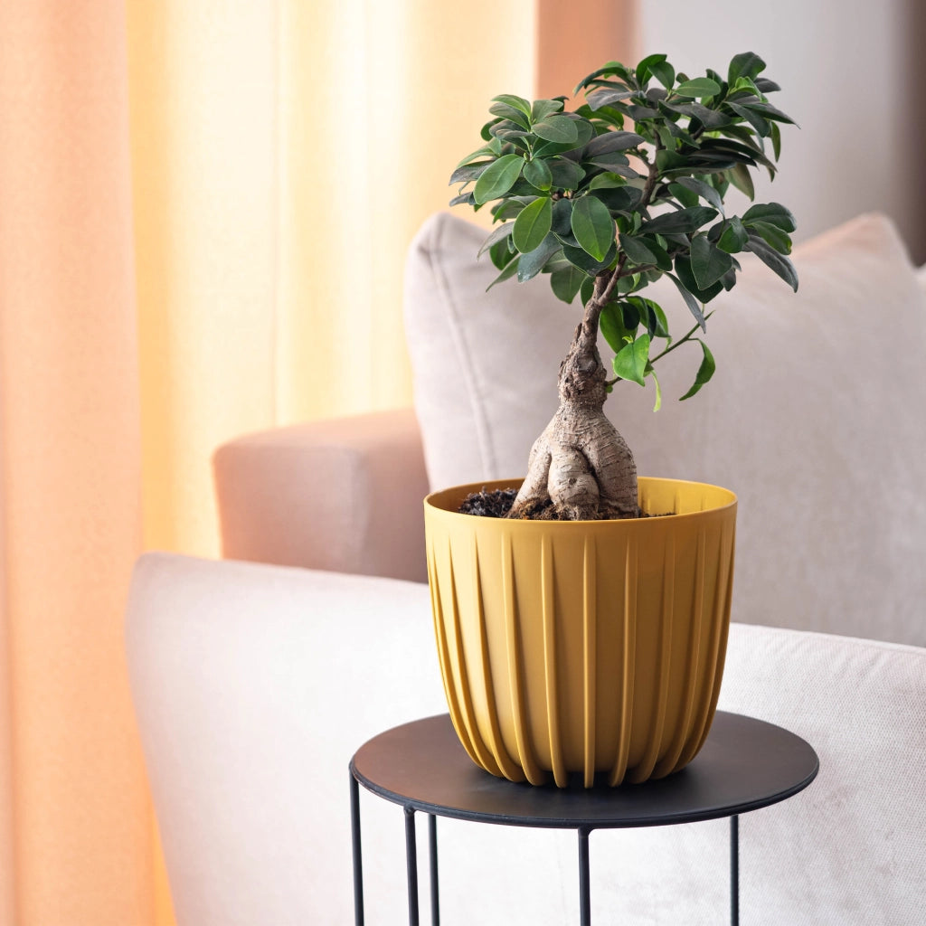 KADAX Vaso da fiori, coprivaso rotondo da 17,5 cm in plastica, supporto per fiori giallo