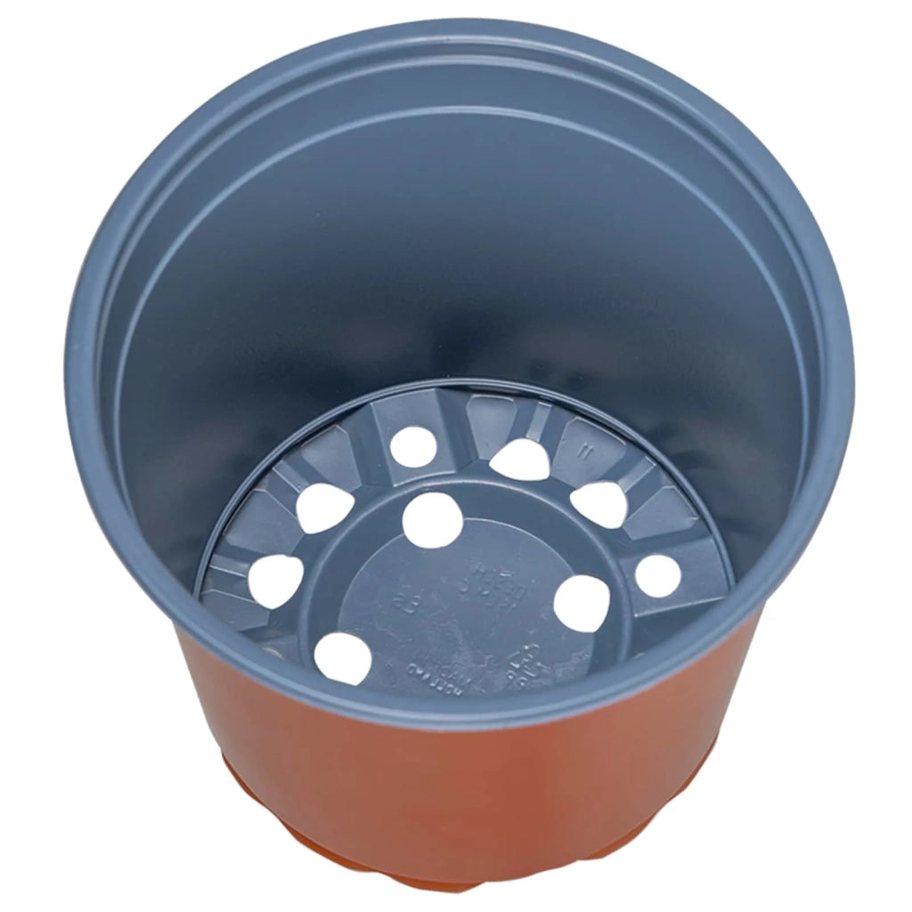 Vaso per Fiori 100 pz-Fioriera Piccola-Contenitore per Piante Ceramica ? 15 x 13 cm Plastica