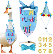 Costume per oca decorazione di compleanno - bandana per oca - cappello - sciarpa - etichette personalizzate - materiale polyester - decorazione di compleanno