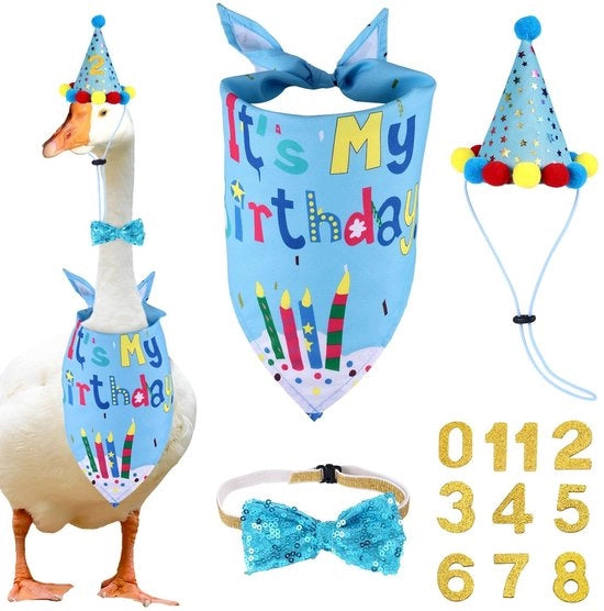 Costume per oca decorazione di compleanno - bandana per oca - cappello - sciarpa - etichette personalizzate - materiale polyester - decorazione di compleanno