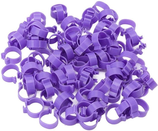 Cintura per Pollame 100 Unità - Materiale Resine Sostenibile - Etichettatura Uccelli da Corte - Adatto per Anatre/Galline - Resistente ai Contatti - Scrittura su Marche