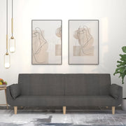 Divano Letto a 2 Posti con 2 Cuscini-Sofa Letto 2 Posti-Daybed Grigio Scuro in Tessuto 646982
