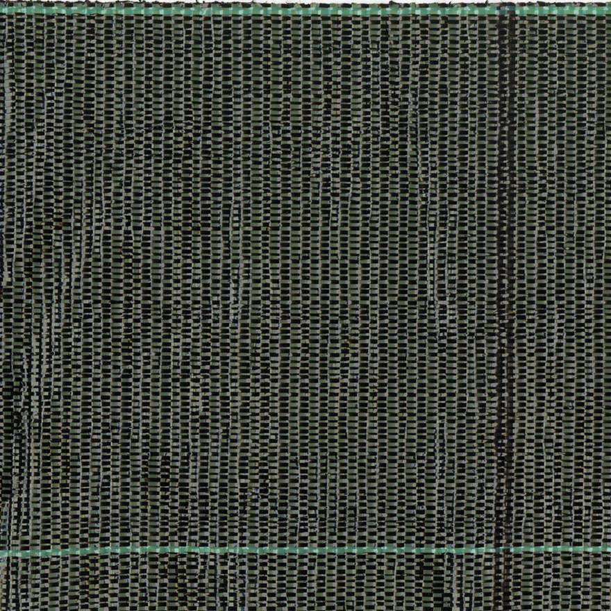 Telo Pacciamatura da Giardino in Polipropilene 1,65x100m Rama Ground Nero e Verde