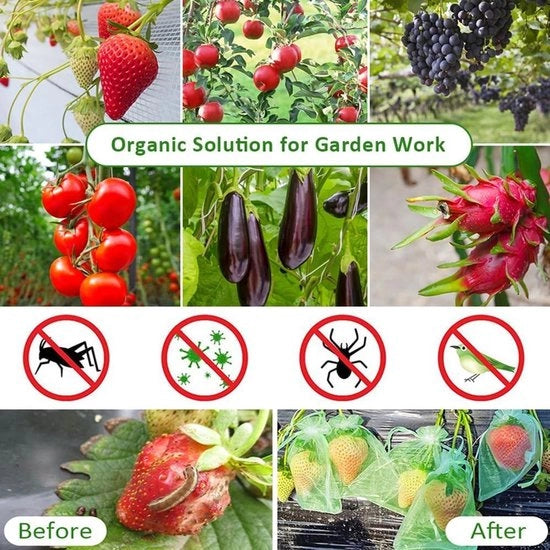 Set di sacchetti di protezione per frutta - 50 pezzi con cordoncino Sacchetti protettivi in gas per uva - accessorio per giardino Sacchetti di rete riutilizzabili per alberi da frutta (bianco + verde frutta)