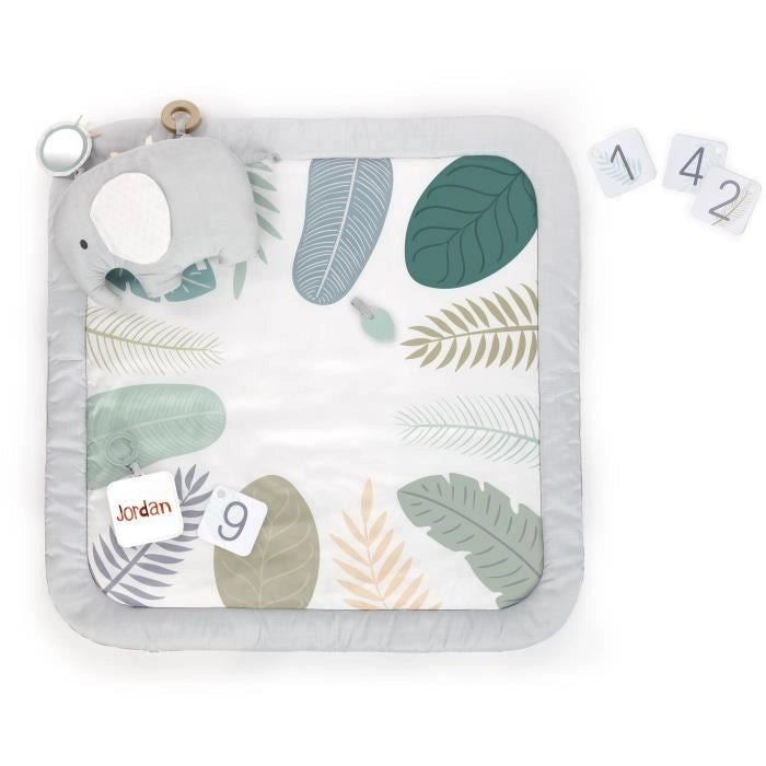 Ingenuità Spot Spot Attacco di tappeti - Evolutivo - 12 carte evolutive - 7,62 x 102 x 102 cm - multicolore - des Ben