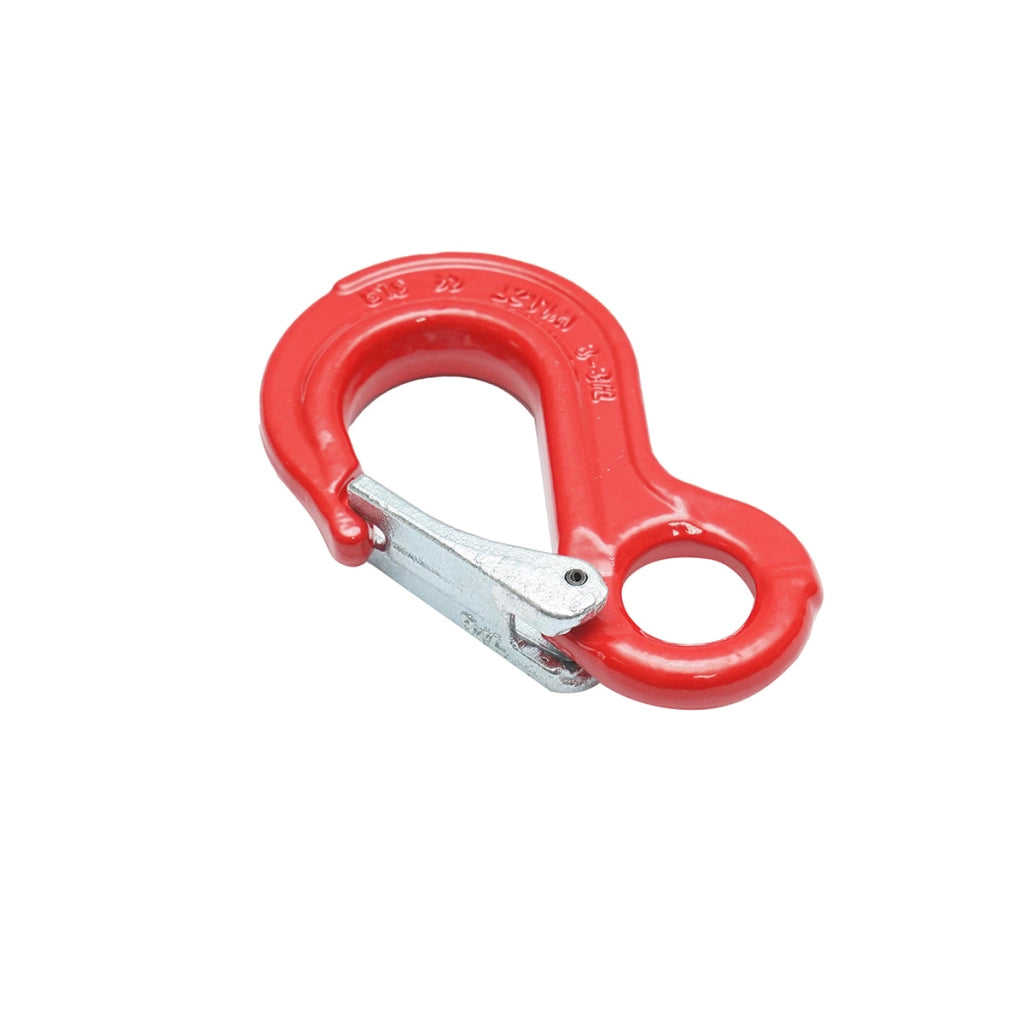 Gancio con anello di sicurezza, carico massimo 2 T
