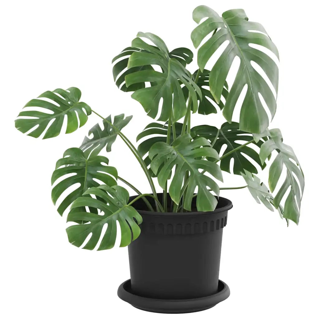 Vasi per Piante 24 pcs Nero Ø 15 x 12 cm Plastica