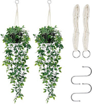 Pianta di finto eucalipto con vaso, coppia 80cm, pianta finta eucalipto, decorazione di pianta in plastica, moderna decorazione per tavolo, camera, balcone, soggiorno.