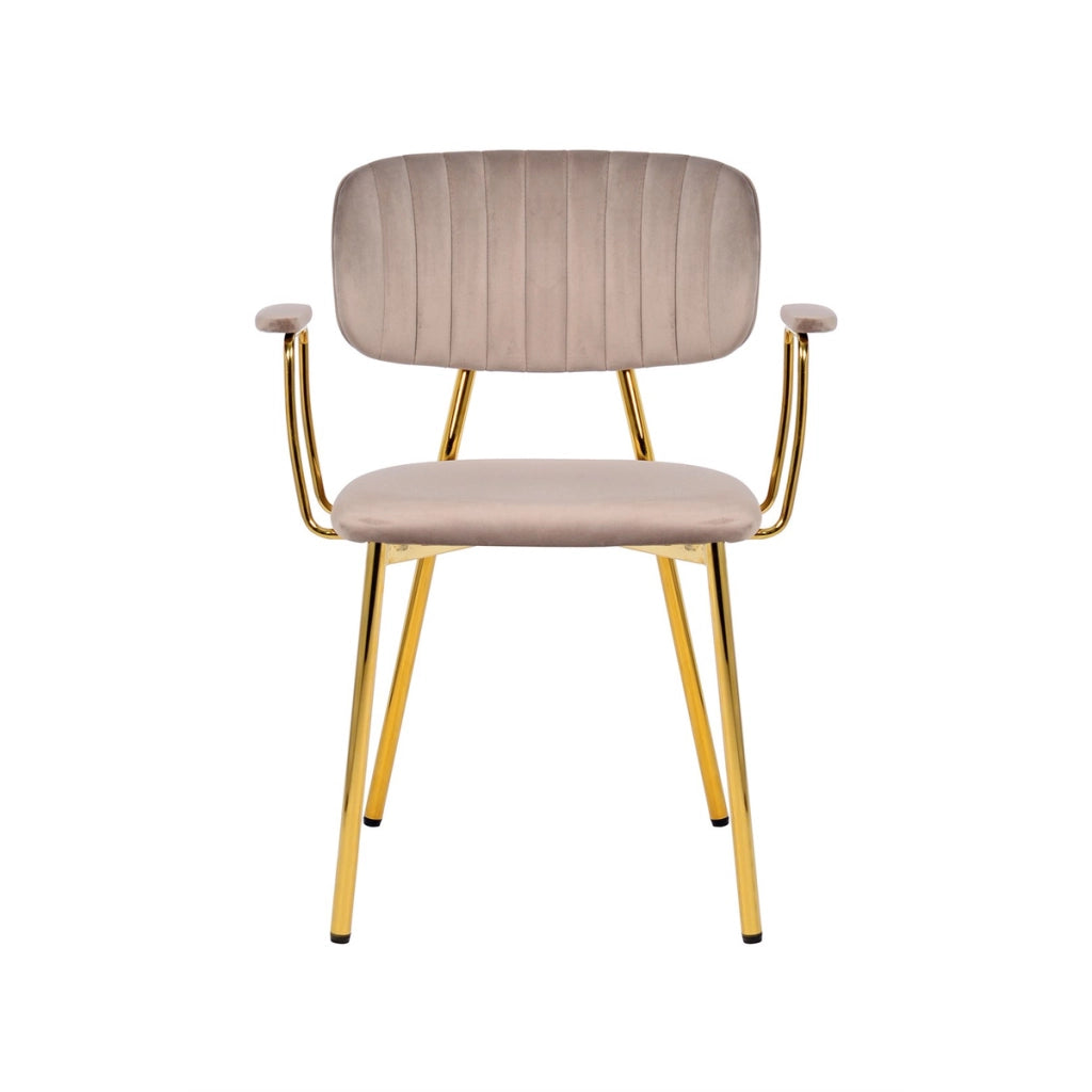 Set di 2 sedie con braccioli Kian 200 in velluto taupe