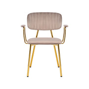 Set di 2 sedie con braccioli Kian 200 in velluto taupe