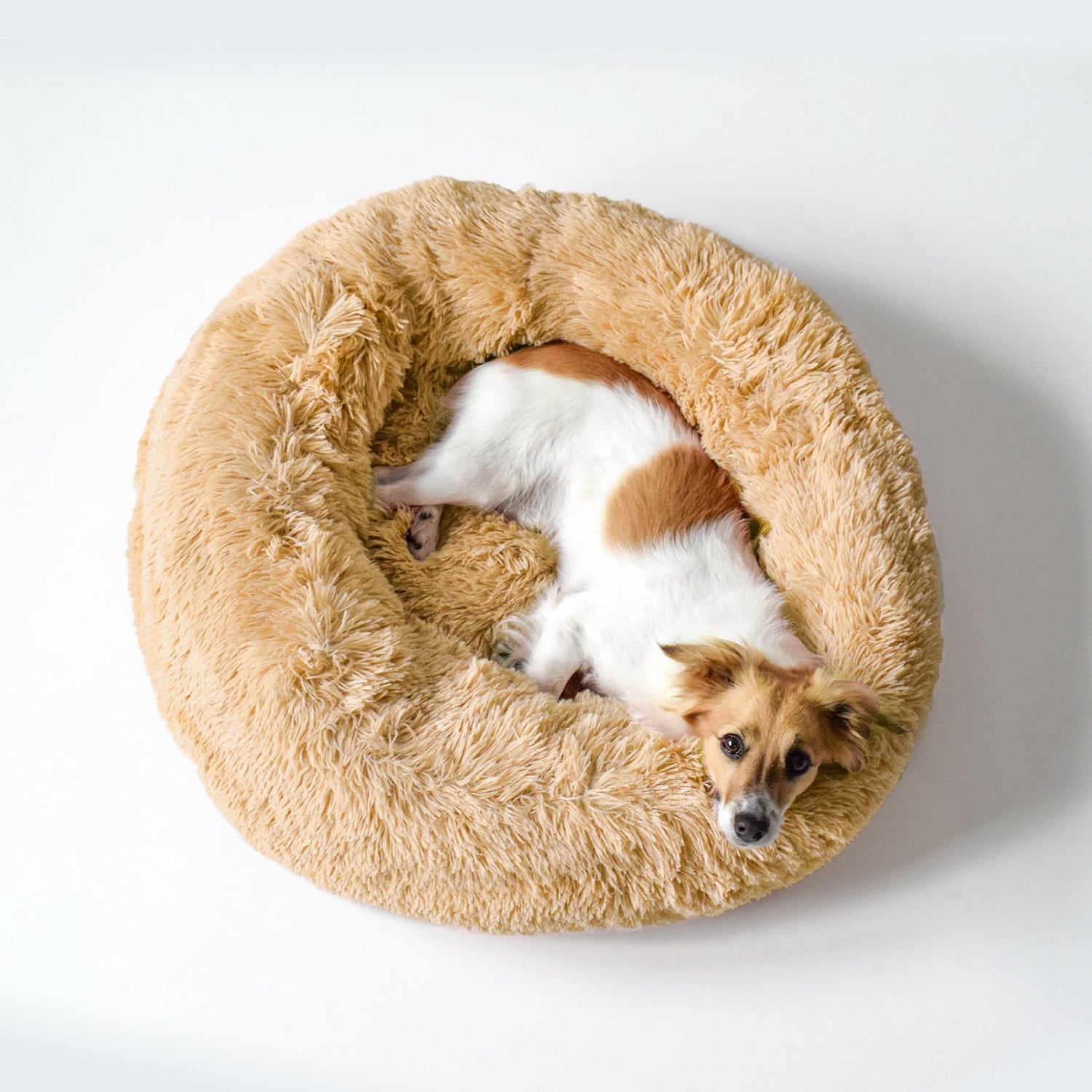 Cuccia per Cani e Gatti Ø70 cm in Poliestere Vaniglia