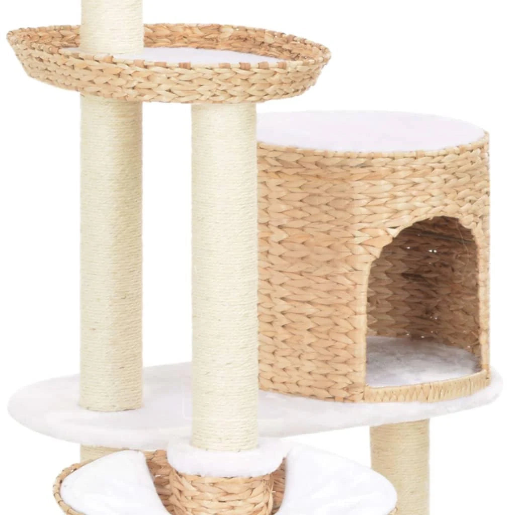 Tiragraffi albero per gatti cuccia per gatti peluche in sisal con stampa di alghe marine beige 3702145