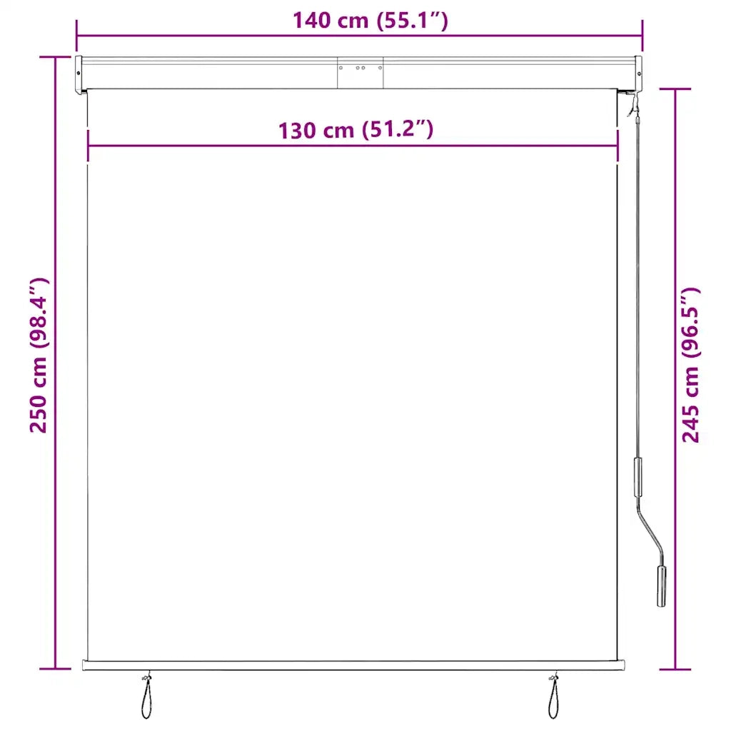 Tenda a rullo | Tenda avvolgibile per Esterni 140x250 cm Antracite