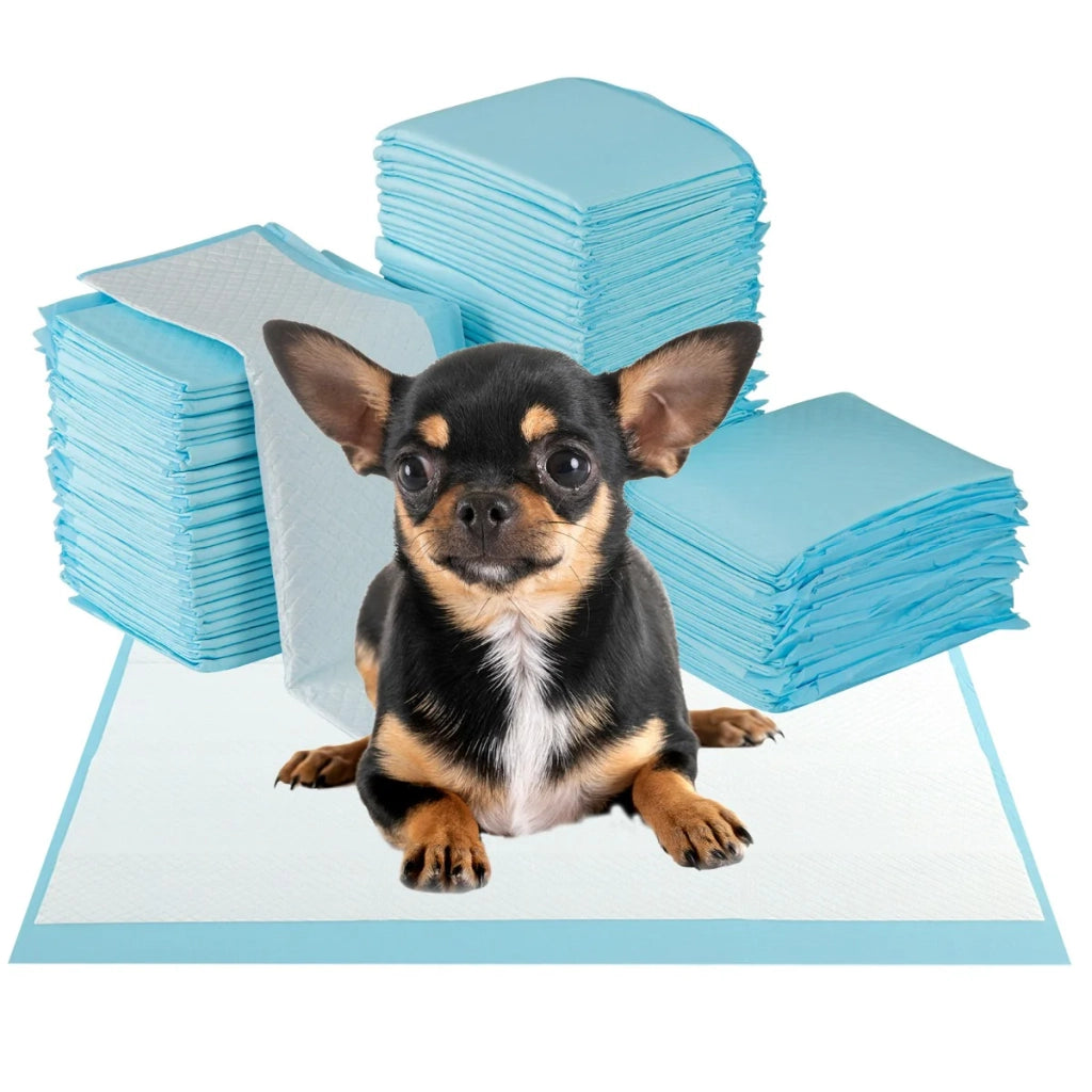 Confezione da 300 tappetini assorbenti per l'addestramento dei cani 60 x 43 cm per uso interno ed esterno realizzati in tessuto non tessuto blu 20_0014203