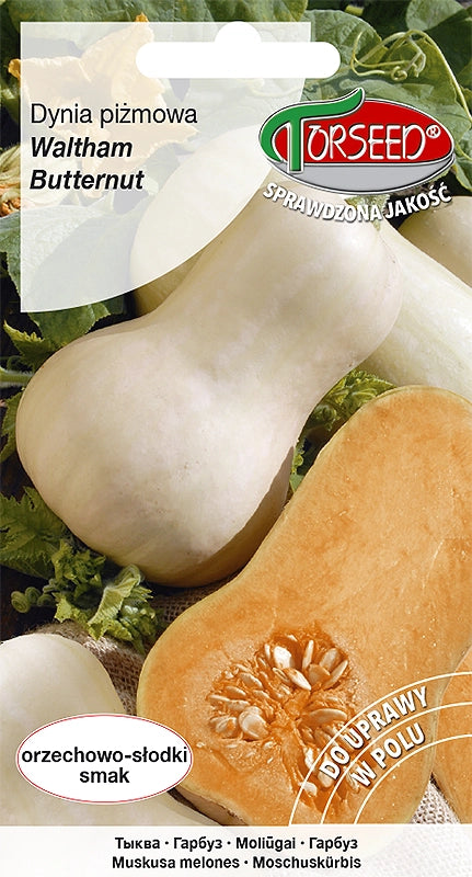 Zucca Butternut Waltham Butternut 3g