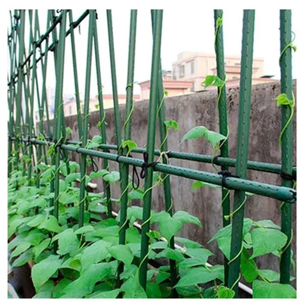 Trade Shop - Set 25 Pali Tutori Canna Per Sostegno Piante Rampicanti Pomodori H120cm ø11mm Grn19 013189 -