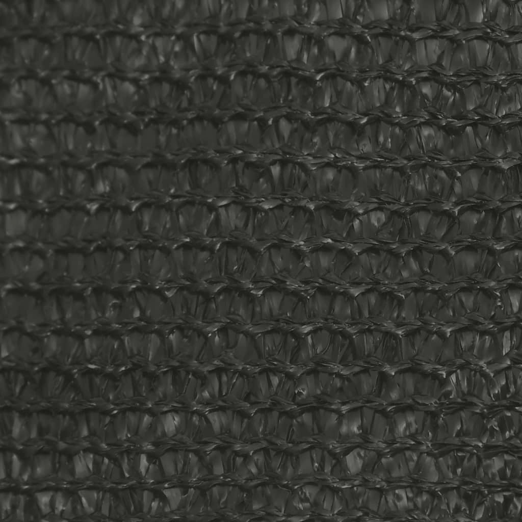 Vela ombreggiante/ombrellone 160 g/m² 3/4 x 2 m HDPE antracite 02_0008917