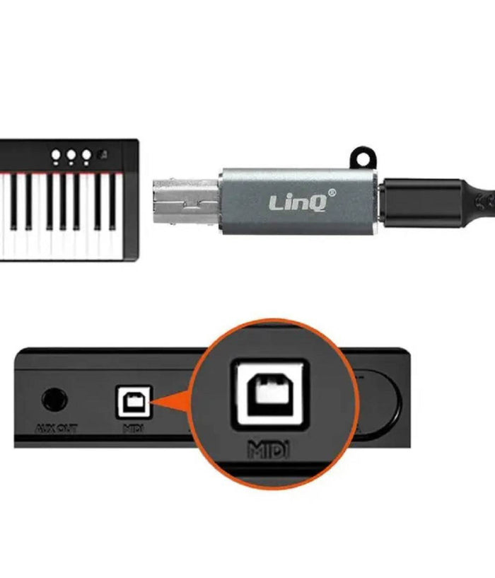 Adattatore Da Type-c Femmina A Usb-bm Maschio Per Stampanti Sintetizzatori Tpc9104         