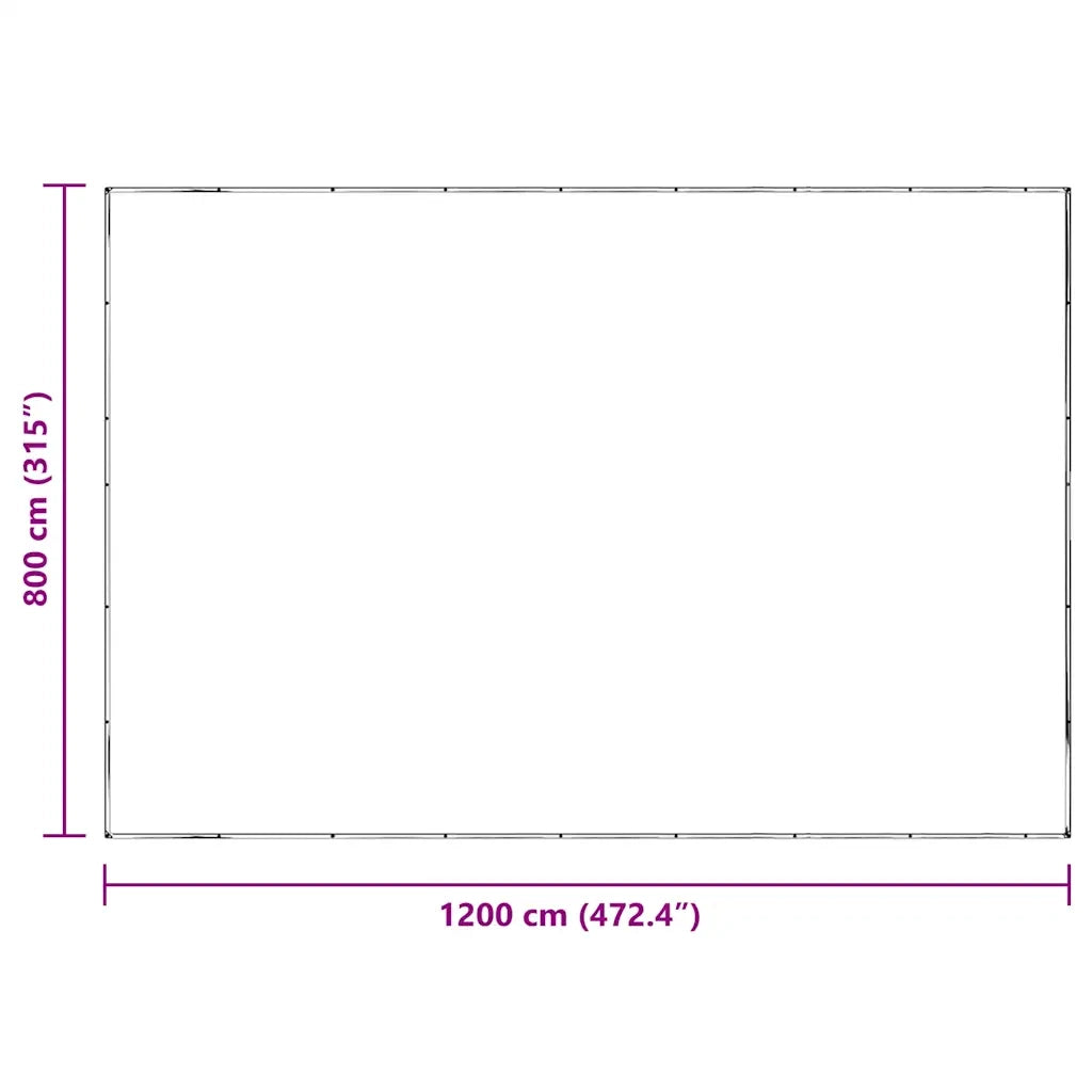 Telone Trasparente con Occhielli 8x12 m in Polietilene 4018535