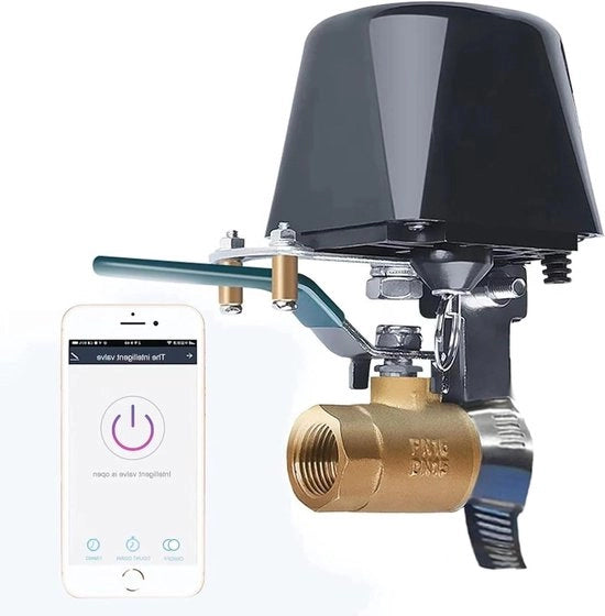 Vaso di Regolazione dell'Acqua - Valvola Automatica a Sfera con Wi-Fi - Compatibile con Alexa e Google - Timer di Irrigazione