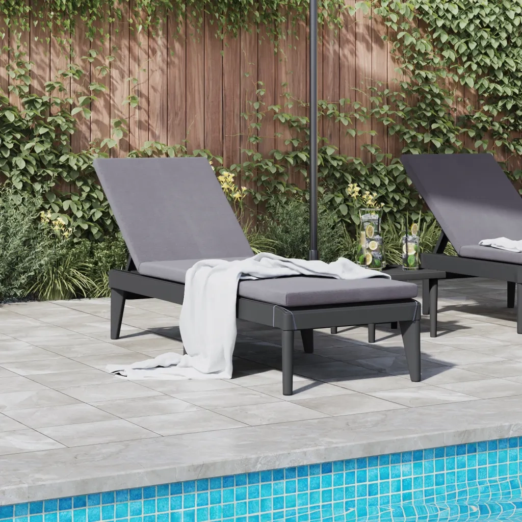 Lettino con Cuscino Antracite 186x60x29 cm in PP 364223