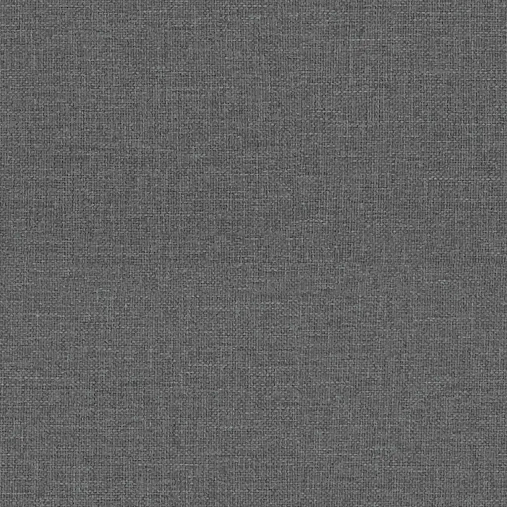 Divano Sedia-Poltrona Reclinabile in Tessuto Grigio Scuro 683691