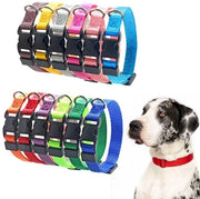 Collare per cani adattabile - Collare di identificazione per cuccioli - Nylon - Spilla di sicurezza - 12 pezzi - Adatto per cuccioli e gattini