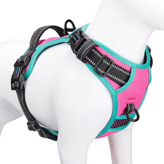 Cintura per cani con manubrio di addestramento, 2 ganci metallici e 4 chiavi a scorrimento (L, Rosa)